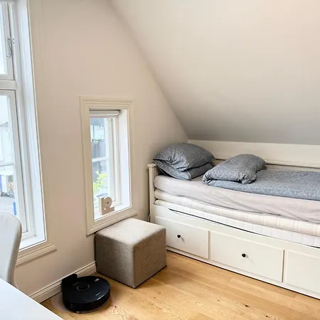 Apartment 3-bedroom In Center